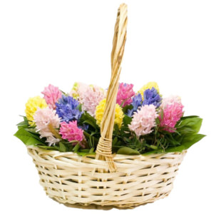 Цветы в корзинке "Буйство красок"